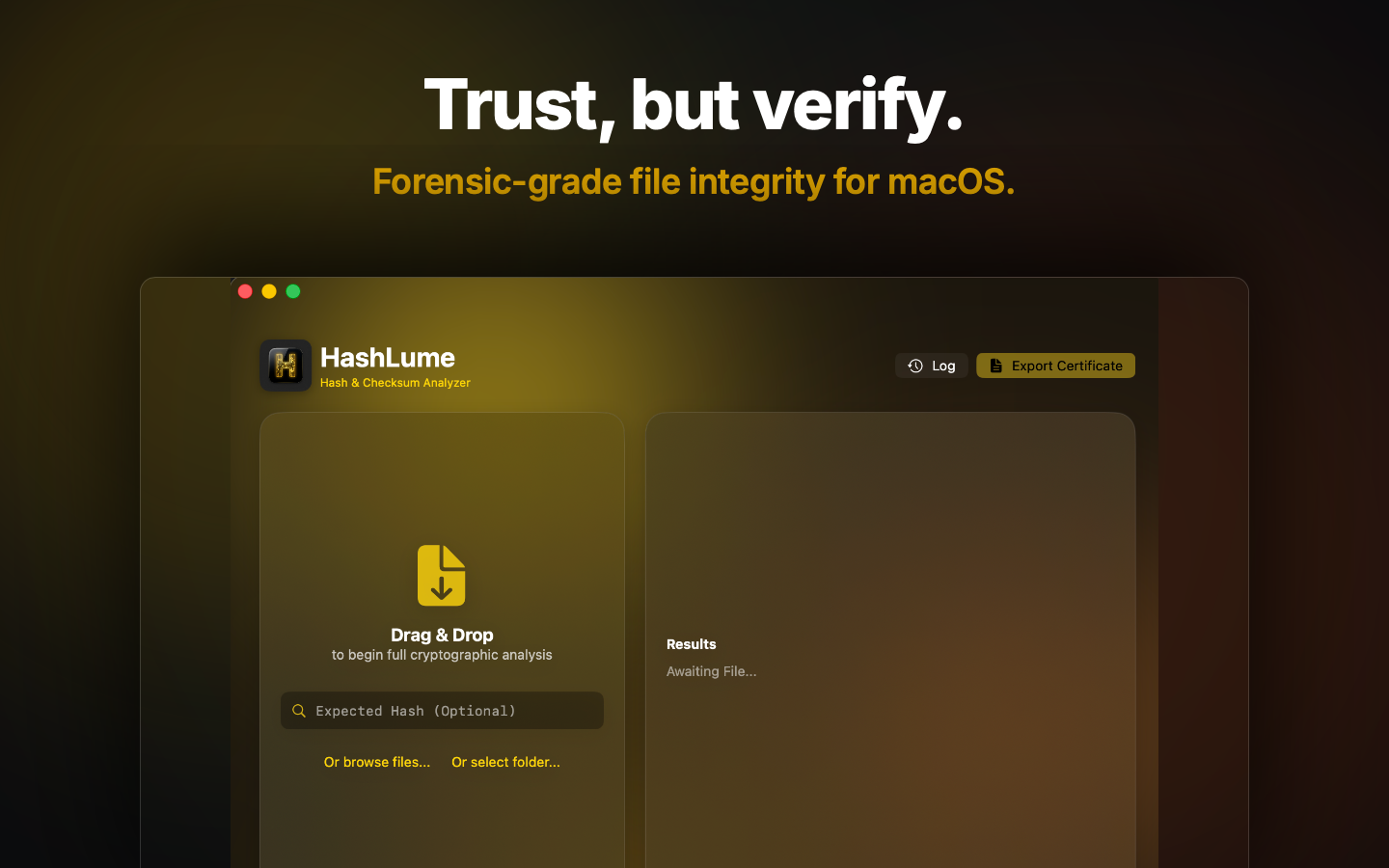 HashLume Interface 1