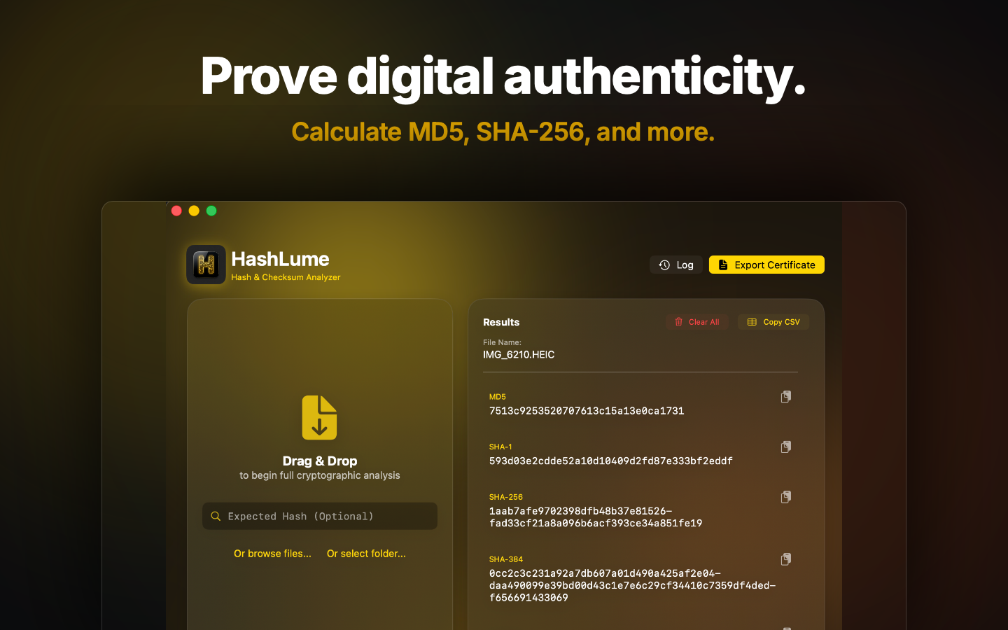 HashLume Interface 2