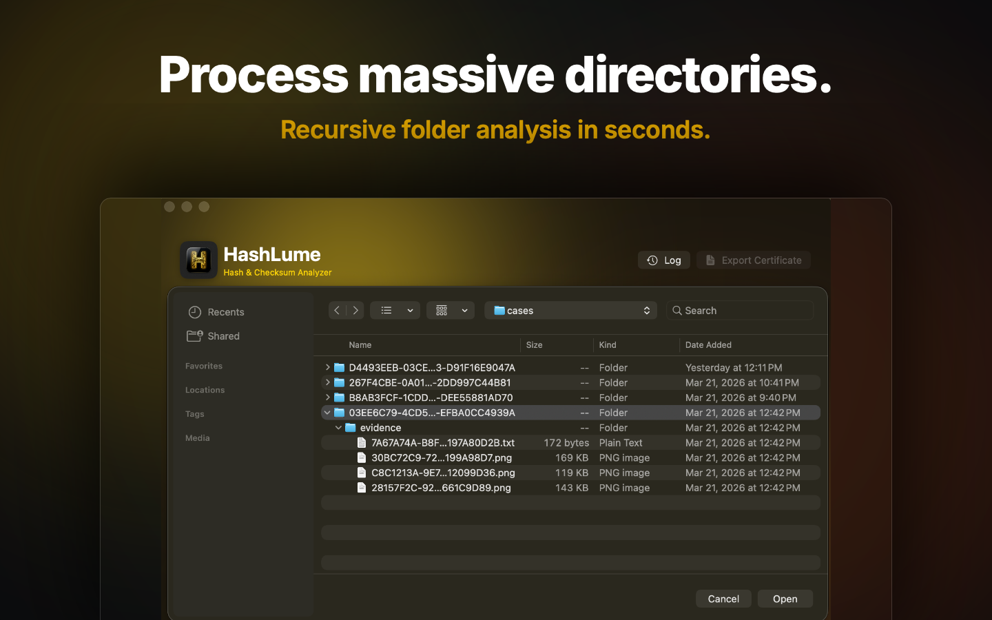 HashLume Interface 3