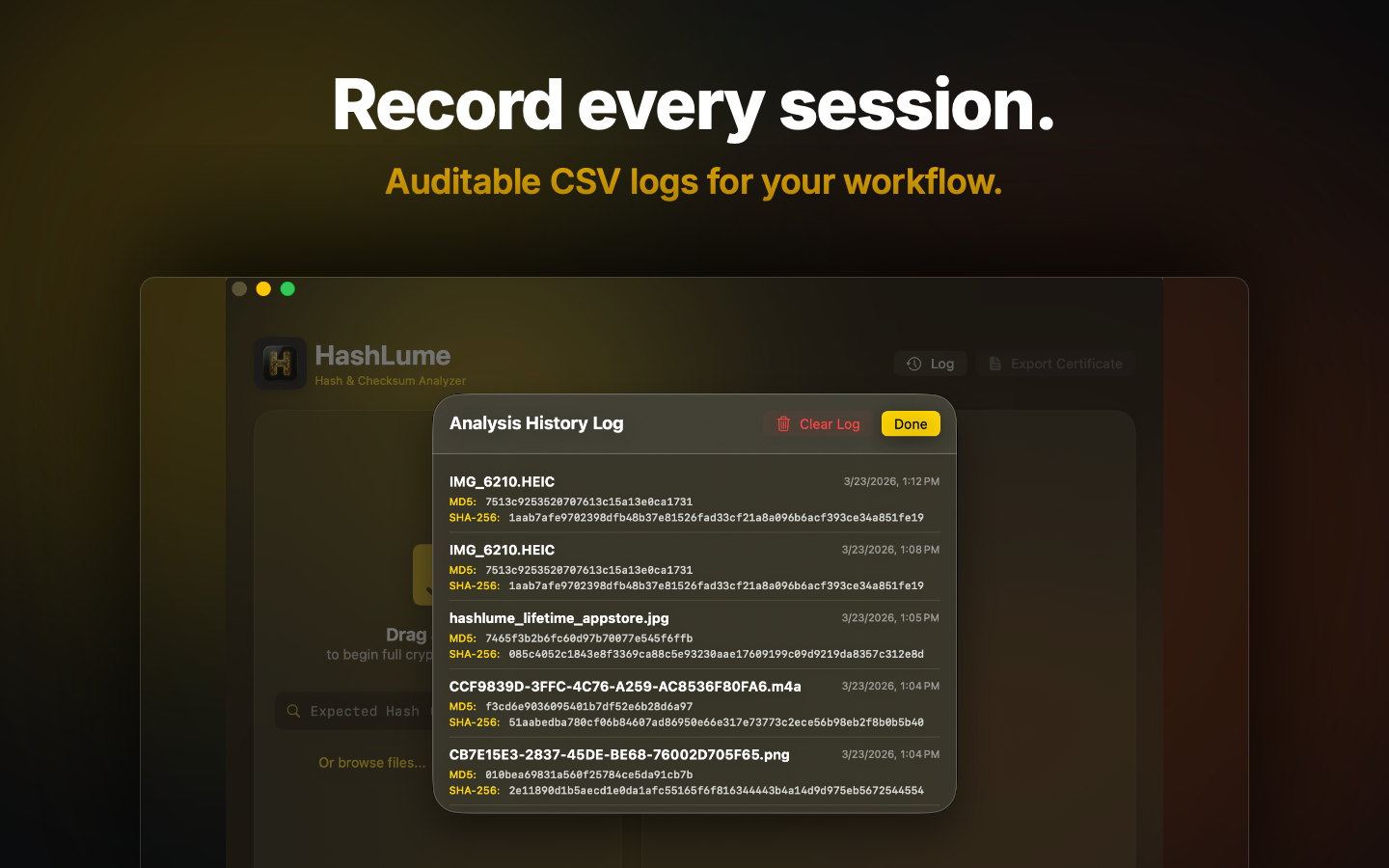 HashLume Interface 4
