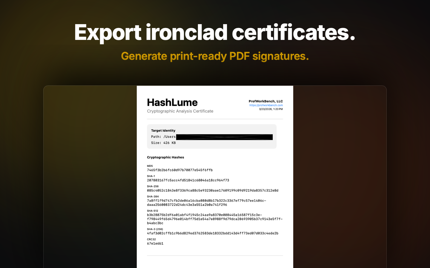 HashLume Interface 5